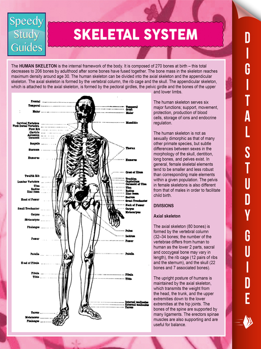 Title details for Skeletal System by Speedy Publishing - Available